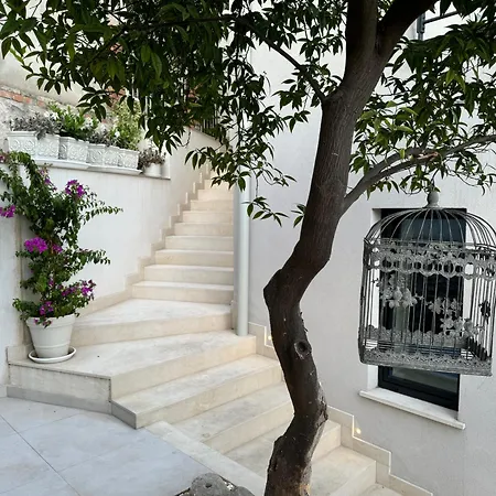 Ada Taormina